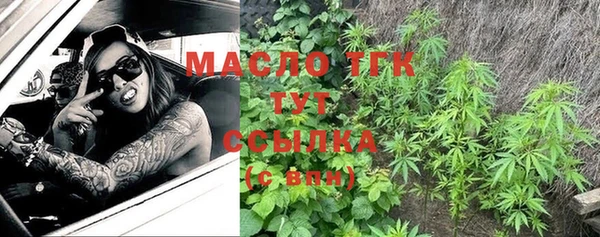твердый Богородицк
