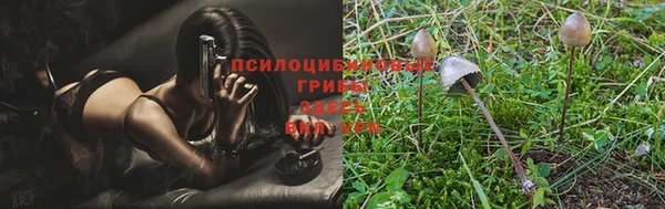 твердый Богородицк