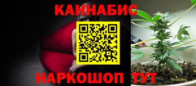 спайс Канаш