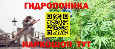 спайс Канаш