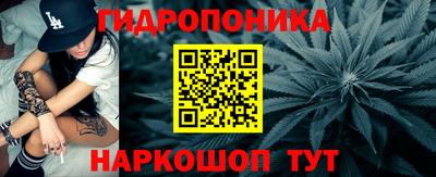 apvp Кандалакша
