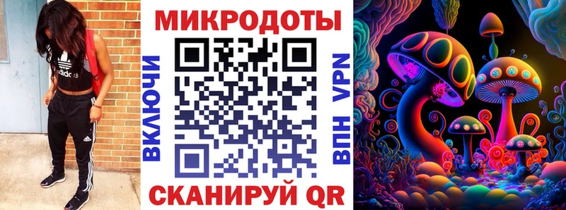 магазин    Бор  Псилоцибиновые грибы Psilocybine cubensis 