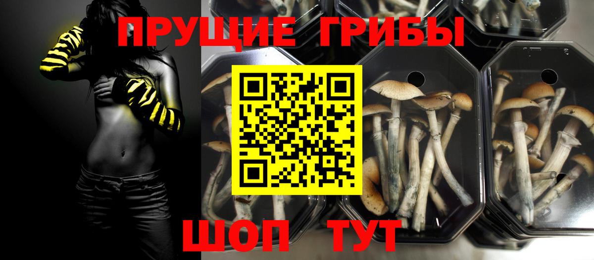 Псилоцибиновые грибы Magic Shrooms  Вход с VPN  Галлюциногенные грибы GOLDEN TEACHER  Бор 