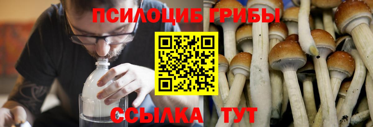 Бор  ГАШИШ  ГАШИШ  Вейп ТГК  MDMA  Вход с VPN  Мефедрон кристаллы  Alpha-PVP СОЛЬ   Кокаин 