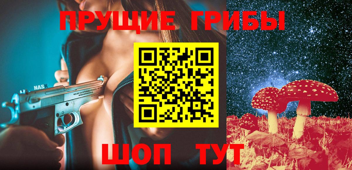 Псилоцибиновые грибы прущие грибы  Бор 